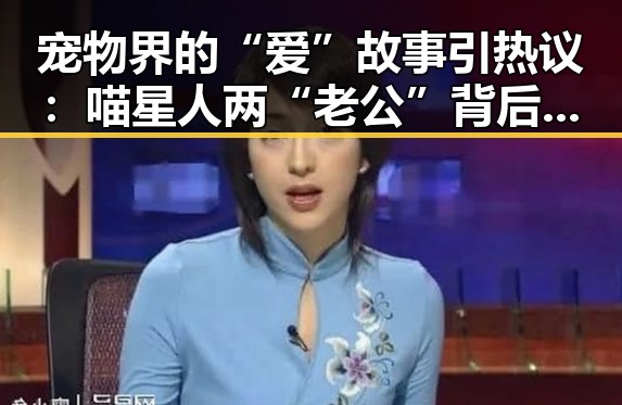 宠物界的“爱”故事引热议：喵星人两“老公”背后的人宠关系变迁