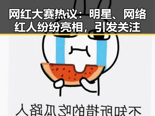 网红大赛热议：明星、网络红人纷纷亮相，引发关注