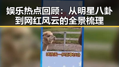 娱乐热点回顾:从明星八卦到网红风云的全景梳理