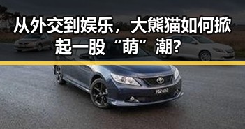 从外交到娱乐，大熊猫如何掀起一股“萌”潮？